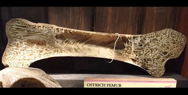 Post Similars Cover Image