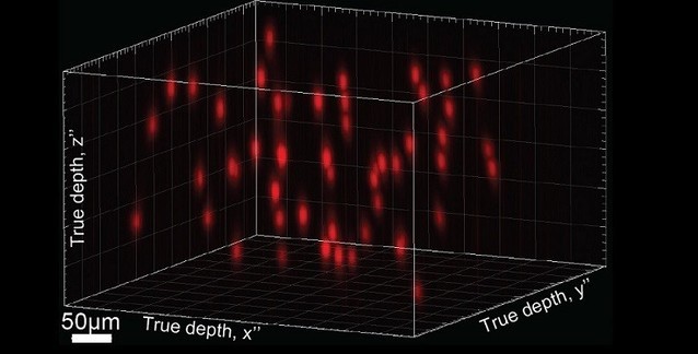 Post Similars Cover Image